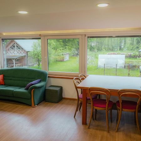 Country Retreat, Near Ljubljana City, Apartma Na Vasi, Blizu Mesta Ljubljana Apartment Medvode Ngoại thất bức ảnh